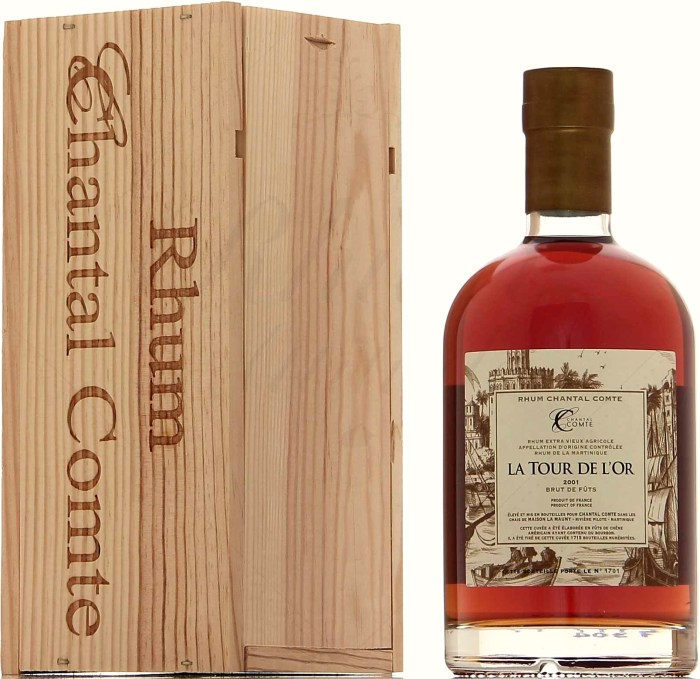 Chantal Comte La Mauny 2001