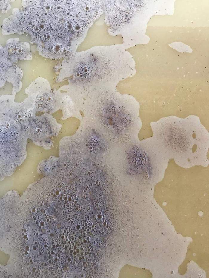 issan rum - fermentation 1