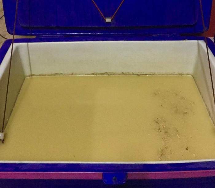 issan rum - fermentation 4