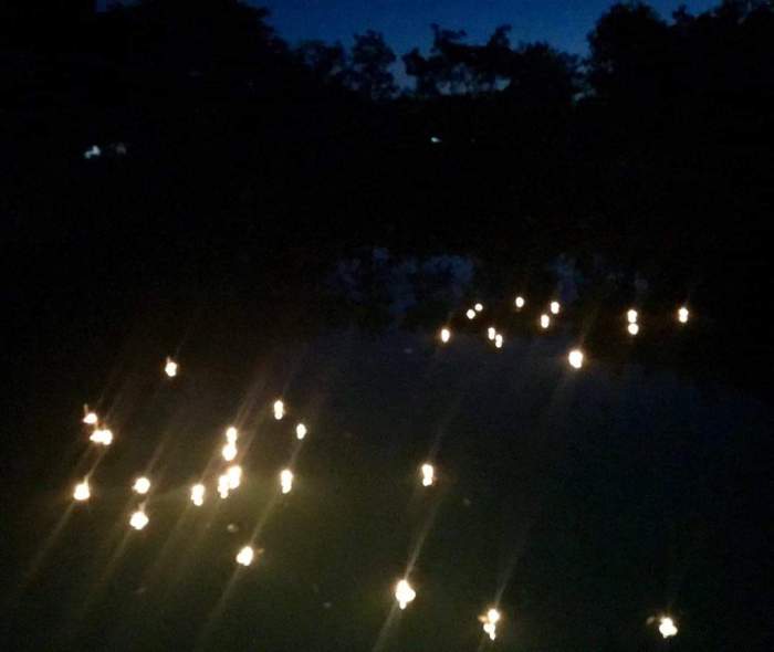 issan rum - lights on water