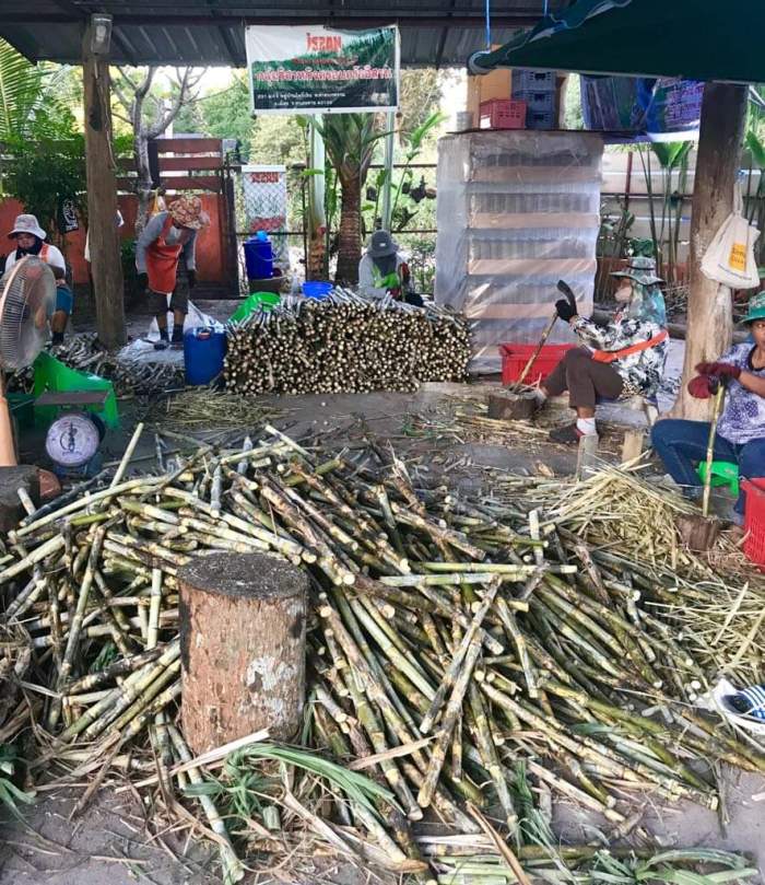 issan rum - the team 1