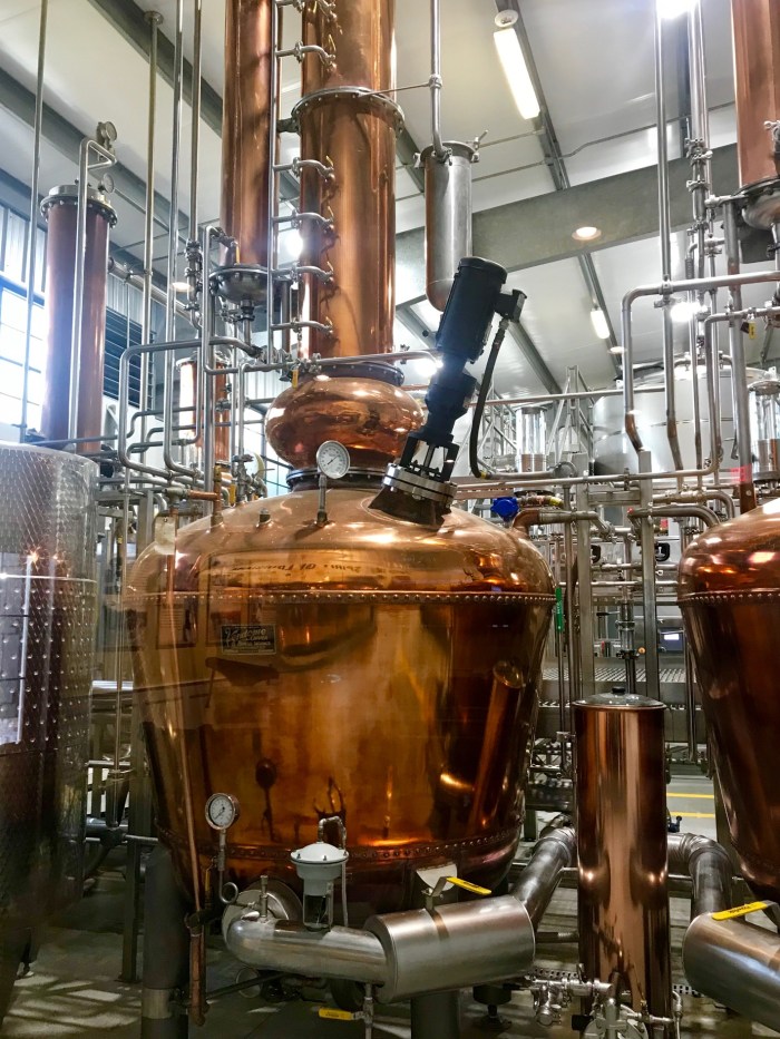 1556501741846_IMG_1905