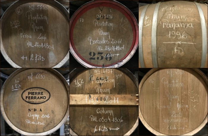 Plantation fûts - 1