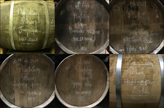 Plantation fûts - 3