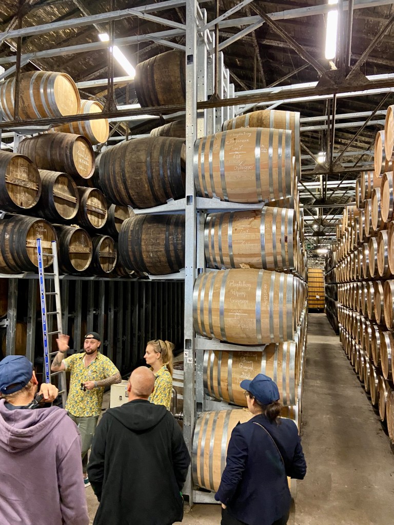 Festival Plantation Addicts – Explications dans le chai