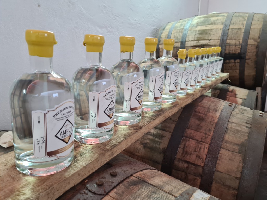 Ampov Rhum - Les fûts en place pour le vieillissement