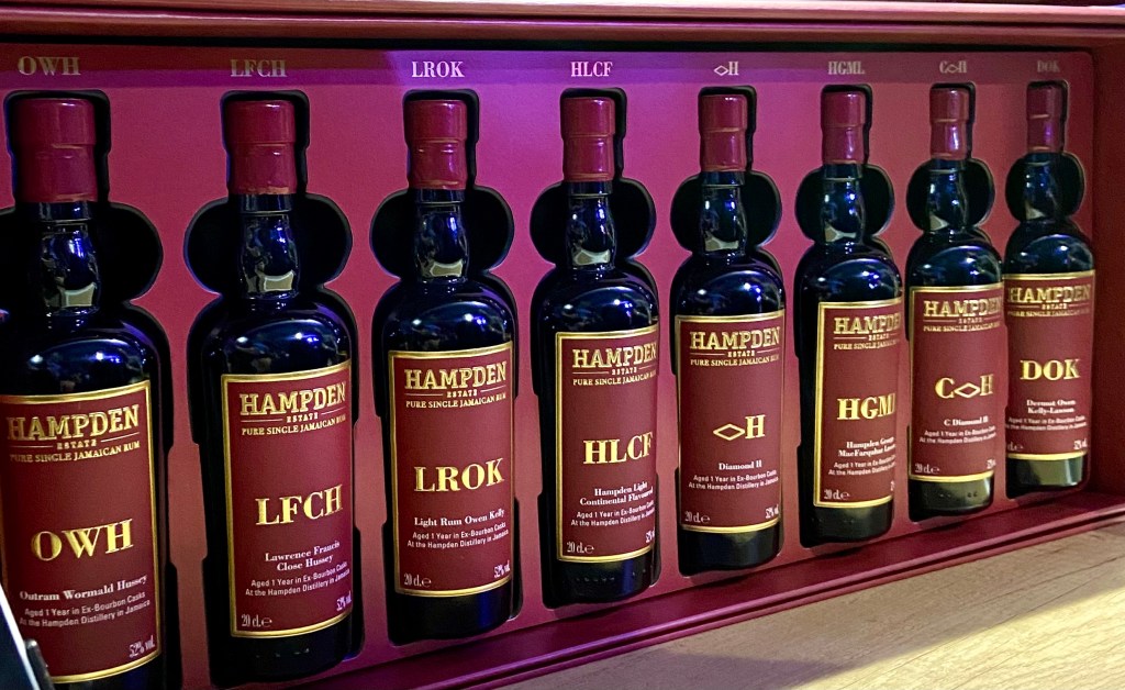 La Maison 2024 - Hampden Marks 1 an