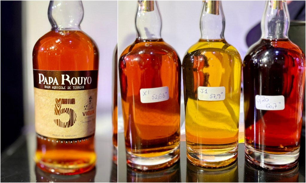 Salon La Maison 2025 - Papay Rouyo 5 ans et Sondage